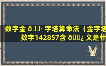 数字金 🌷 字塔算命法（金字塔数字142857含 🌿 义是什么）